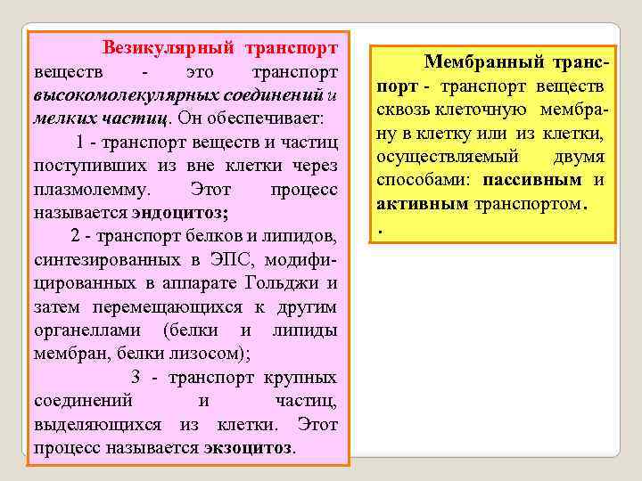 Везикулярный транспорт веществ - это транспорт высокомолекулярных соединений и мелких частиц. Он обеспечивает: 1