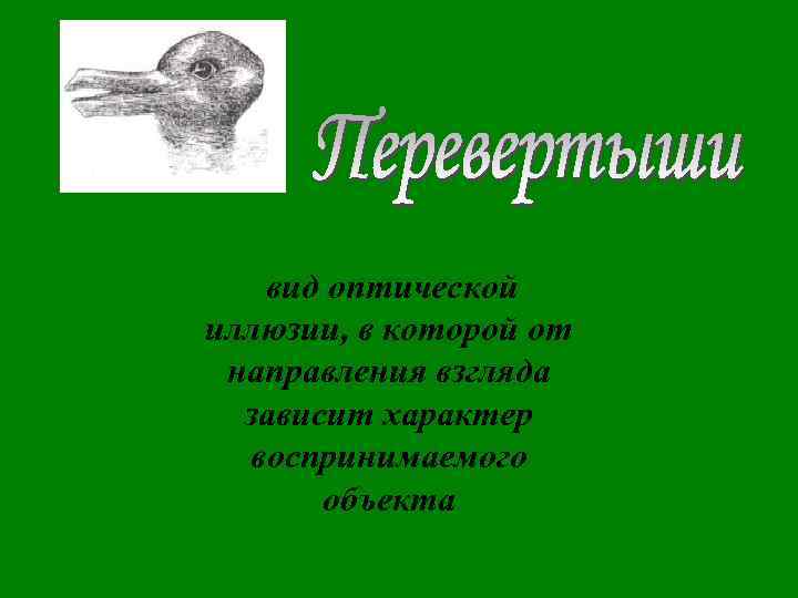 вид оптической иллюзии, в которой от направления взгляда зависит характер воспринимаемого объекта 