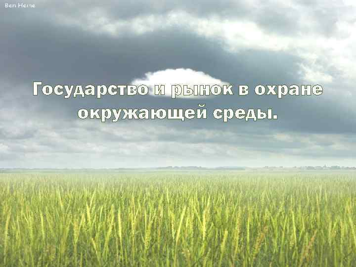 Государство и рынок в охране окружающей среды. 