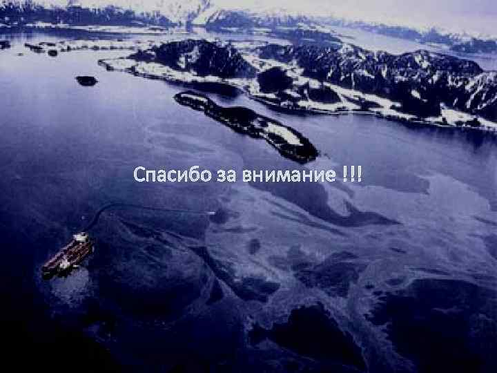 Спасибо за внимание !!! 