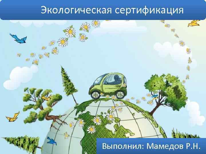  Экологическая сертификация Выполнил: Мамедов Р. Н. 