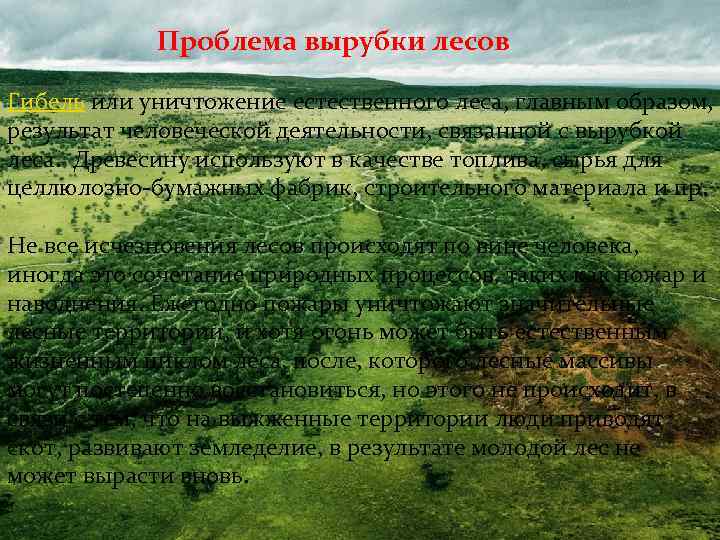 Продолжите схемы последствий человеческой деятельности вырубка леса избыточное орошение