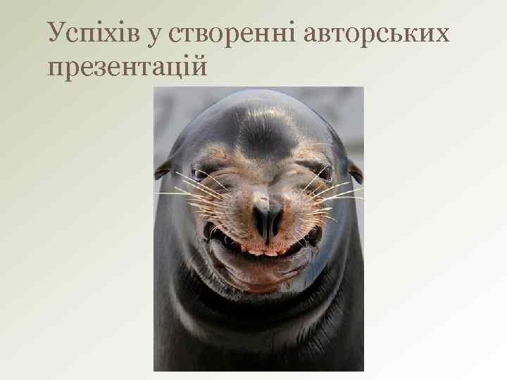 Успіхів у створенні авторських презентацій 