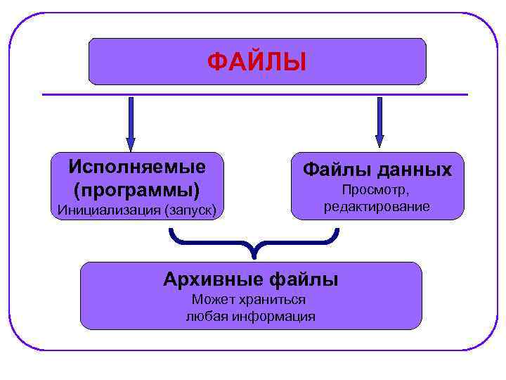 ФАЙЛЫ Исполняемые (программы) Файлы данных Инициализация (запуск) Просмотр, редактирование Архивные файлы Может храниться любая