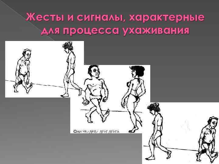 Жесты и сигналы, характерные для процесса ухаживания 