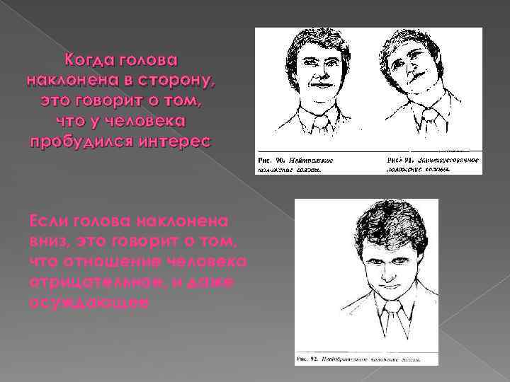 Когда голова наклонена в сторону, это говорит о том, что у человека пробудился интерес
