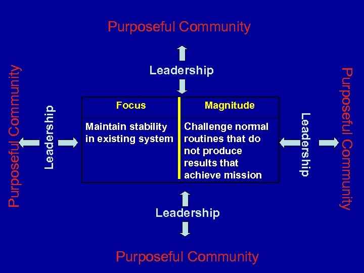 Leadership Focus Magnitude Maintain stability in existing system Challenge normal routines that do not