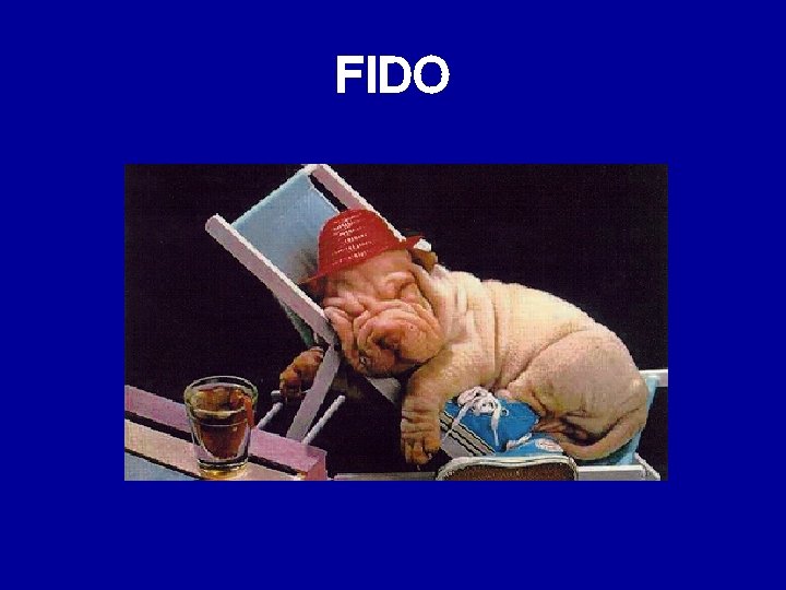 FIDO 