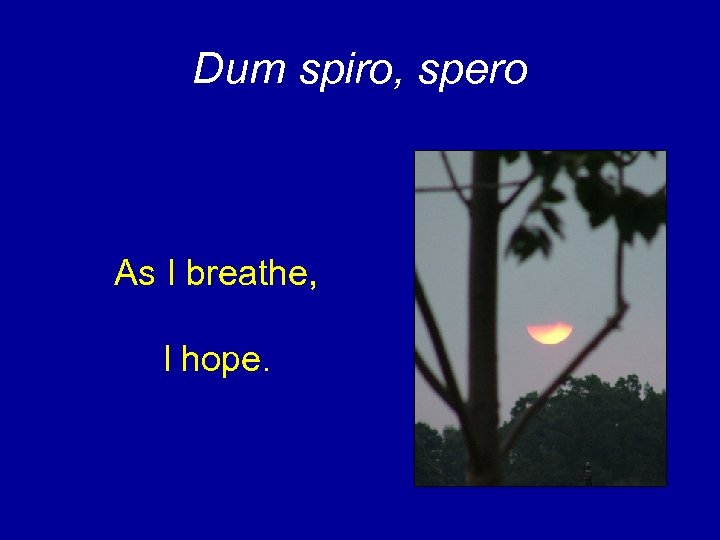 Dum spiro, spero As I breathe, I hope. 