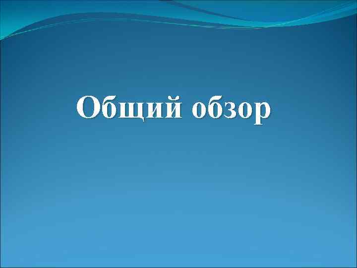 Общий обзор 