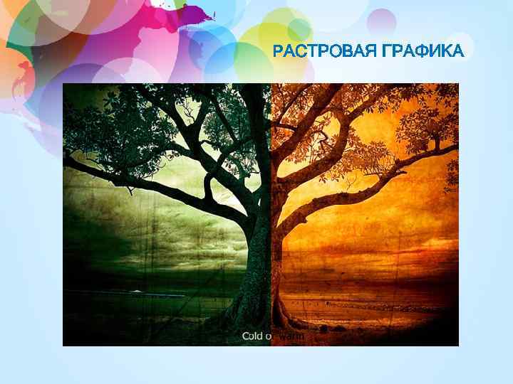 РАСТРОВАЯ ГРАФИКА 