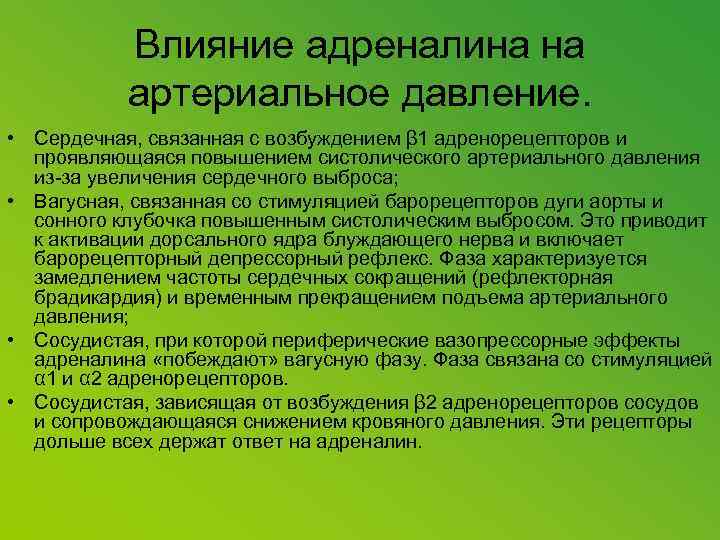 Влияние адреналина на артериальное давление. • Сердечная, связанная с возбуждением β 1 адренорецепторов и