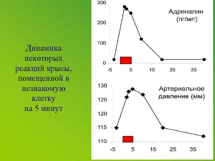  Динамика некоторых реакций крысы, помещенной в незнакомую клетку на 5 минут 