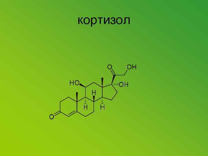 кортизол 