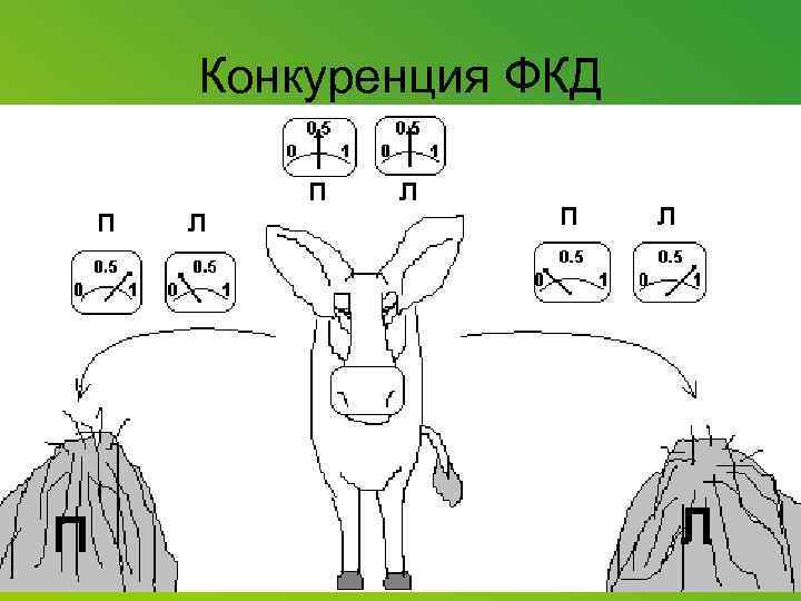 Конкуренция ФКД 