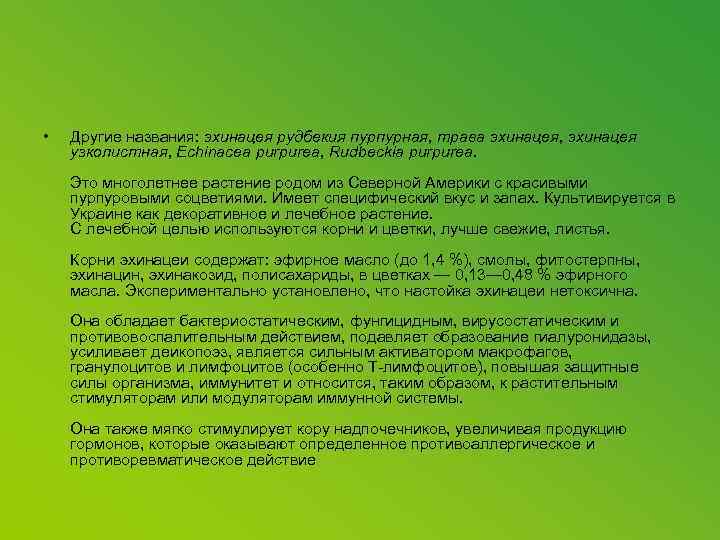  • Другие названия: эхинацея рудбекия пурпурная, трава эхинацея, эхинацея узколистная, Echinacea purpurea, Rudbeckia