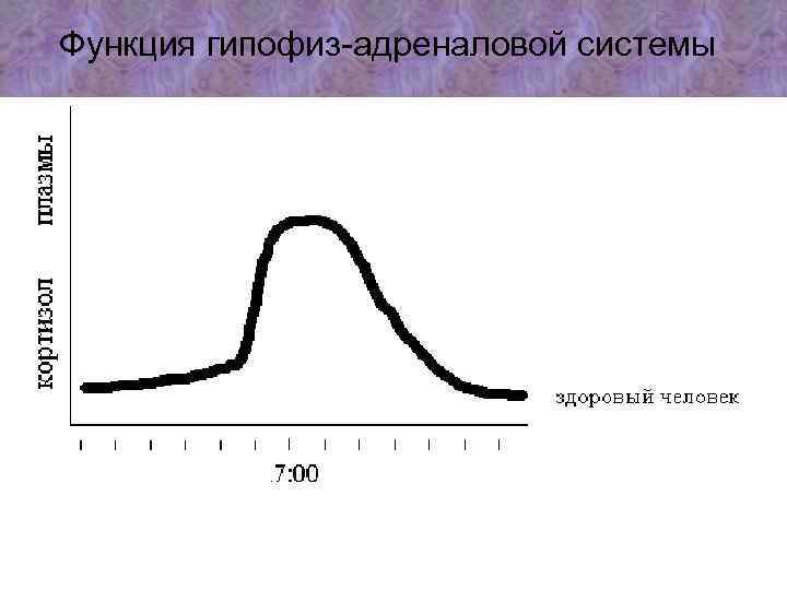 Функция гипофиз-адреналовой системы 