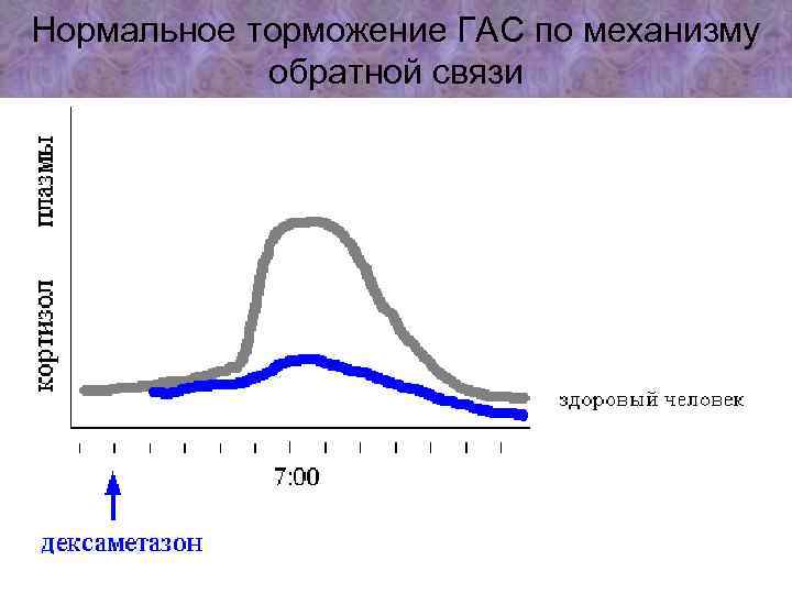 Нормальное торможение ГАС по механизму обратной связи 