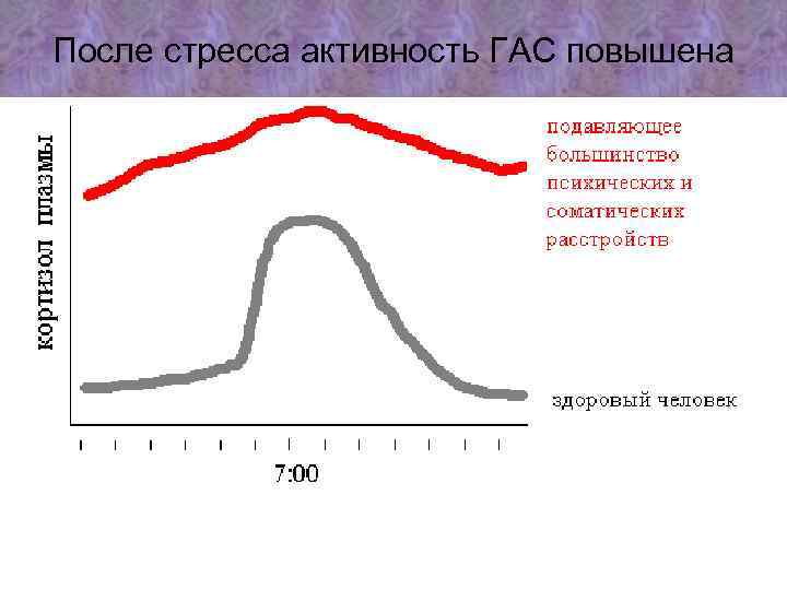 После стресса активность ГАС повышена 