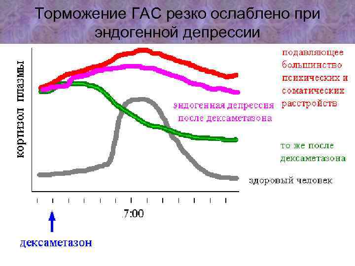 Торможение ГАС резко ослаблено при эндогенной депрессии 