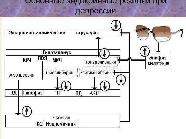 Основные эндокринные реакции при депрессии 