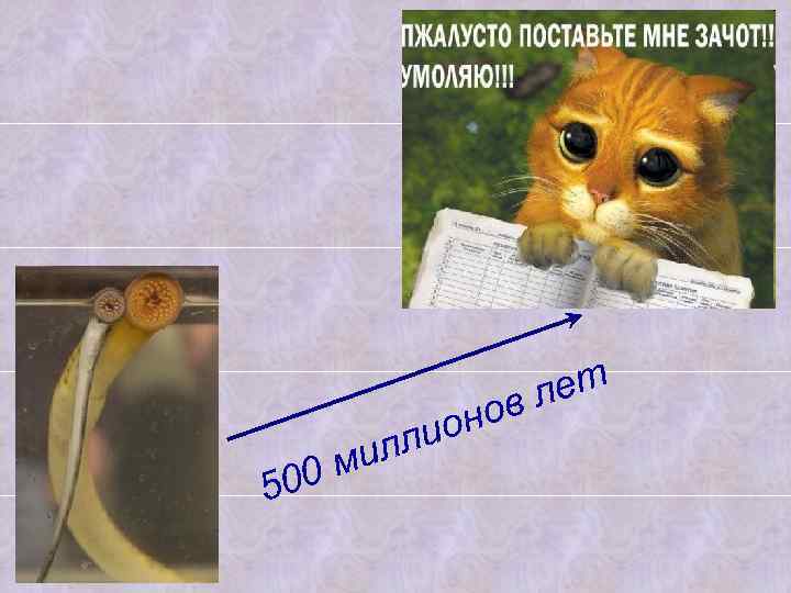 лет ов 5 ион илл 0 м 0 