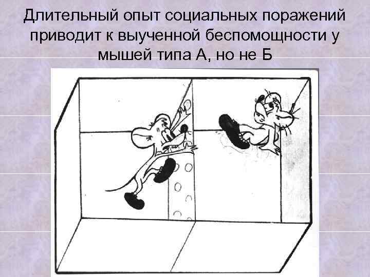  Длительный опыт социальных поражений приводит к выученной беспомощности у мышей типа А, но