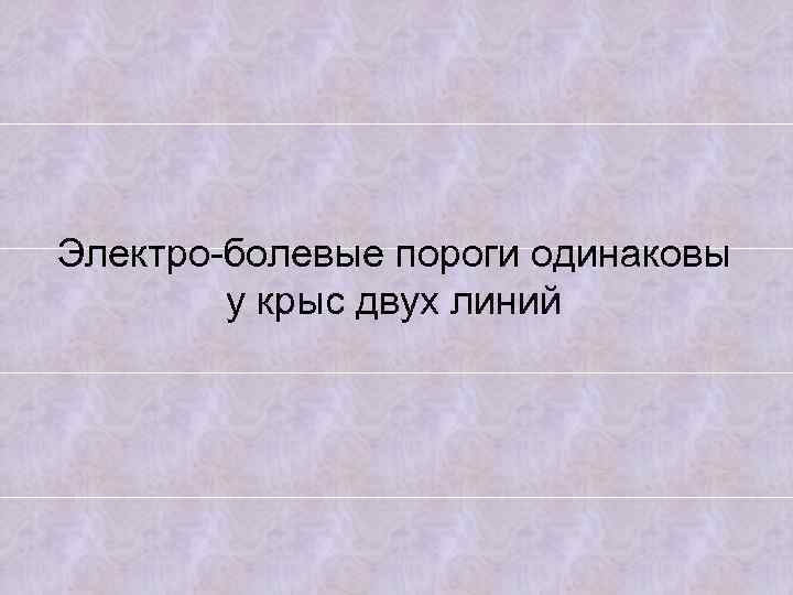 Электро-болевые пороги одинаковы у крыс двух линий 