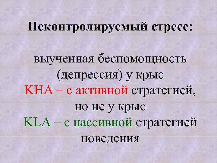 Неконтролируемый стресс: выученная беспомощность (депрессия) у крыс KHA – с активной стратегией, но не