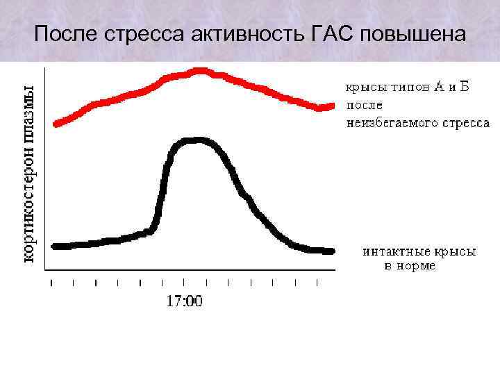 После стресса активность ГАС повышена 