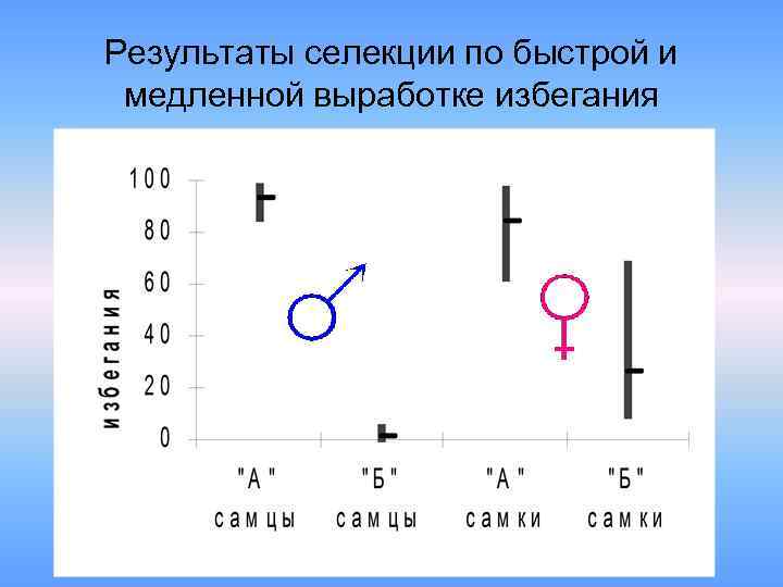 Результаты селекции по быстрой и медленной выработке избегания 