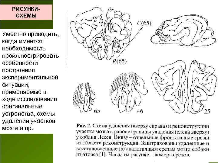 РИСУНКИСХЕМЫ Уместно приводить, когда имеется необходимость проиллюстрировать особенности построения экспериментальной ситуации, применяемые в ходе