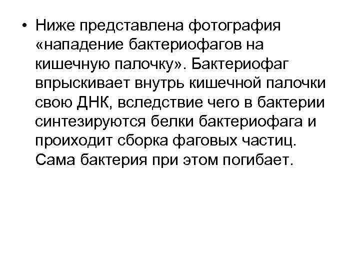  • Ниже представлена фотография «нападение бактериофагов на кишечную палочку» . Бактериофаг впрыскивает внутрь