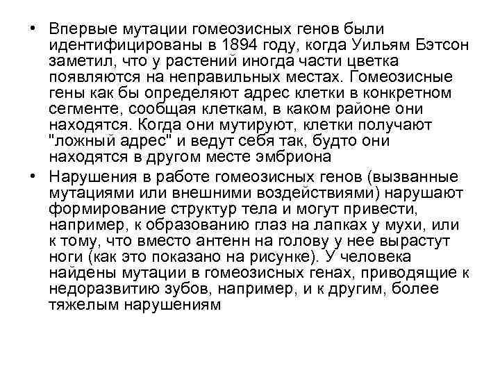  • Впервые мутации гомеозисных генов были идентифицированы в 1894 году, когда Уильям Бэтсон