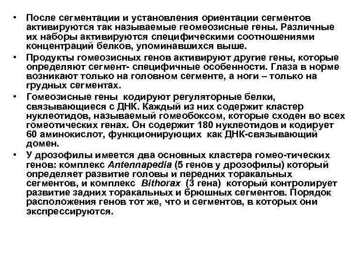  • После сегментации и установления ориентации сегментов активируются так называемые геомеозисные гены. Различные