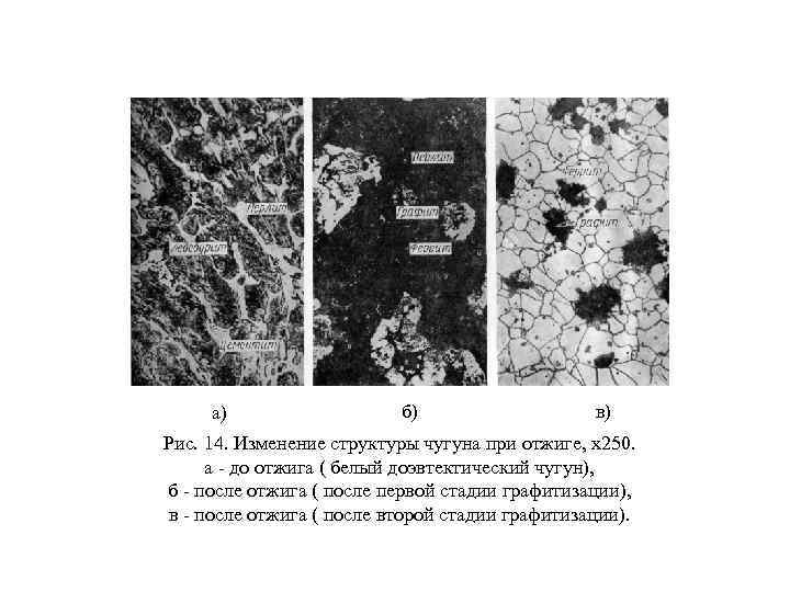 а) б) в) Рис. 14. Изменение структуры чугуна при отжиге, х250. а - до