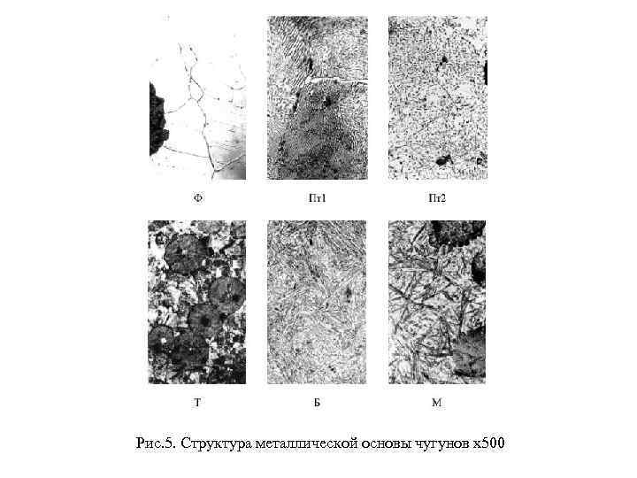 Рис. 5. Структура металлической основы чугунов х500 