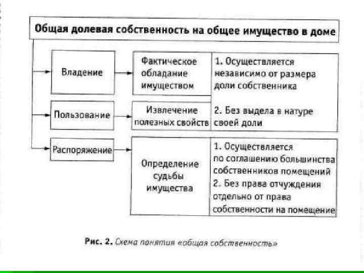 Находится в совместной собственности. Общая долевая собственность схема. Виды общей долевой собственности таблица. Право общей долевой и общей совместной собственности. Особенности общей собственности.