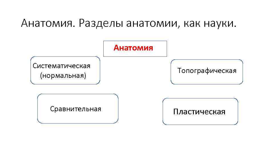 Анатомия. Разделы анатомии, как науки. Анатомия Систематическая (нормальная) Сравнительная Топографическая Пластическая 