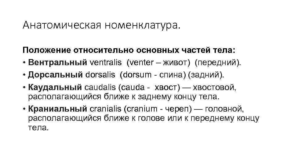 Анатомическая номенклатура. Положение относительно основных частей тела: • Вентральный ventralis (venter – живот) (передний).