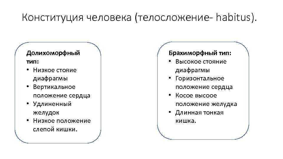 Конституция телосложения человека. Конституция и габитус человека. Положение диафрагмы у брахиморфного типа. Габитус Конституция. Положение сердца у человека долихоморфного типа телосложения:.