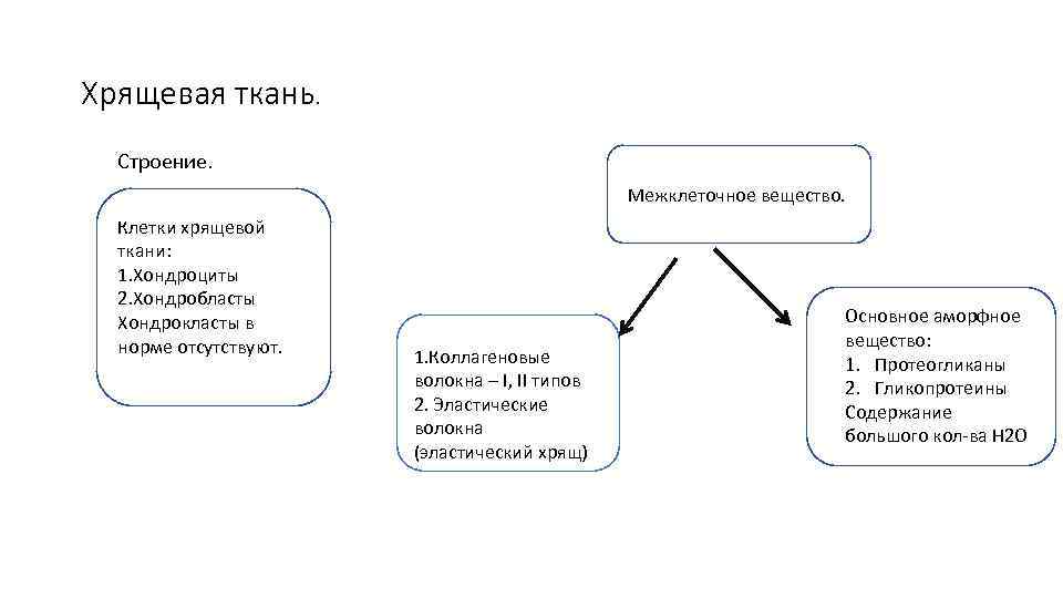 Хрящевая ткань. Строение. Межклеточное вещество. Клетки хрящевой ткани: 1. Хондроциты 2. Хондробласты Хондрокласты в