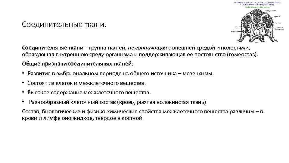 Соединительные ткани – группа тканей, не граничащая с внешней средой и полостями, образующая внутреннюю