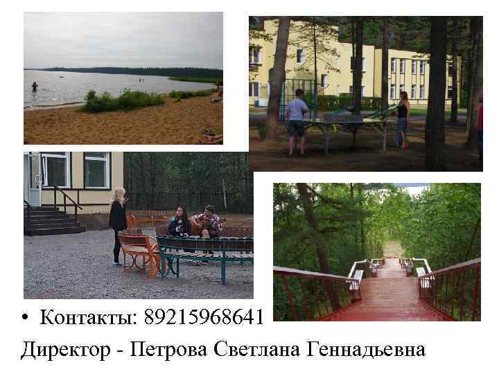  • Контакты: 89215968641 Директор - Петрова Светлана Геннадьевна 