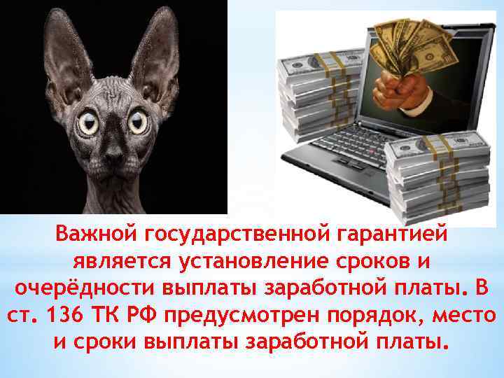 Важной государственной гарантией является установление сроков и очерёдности выплаты заработной платы. В ст. 136