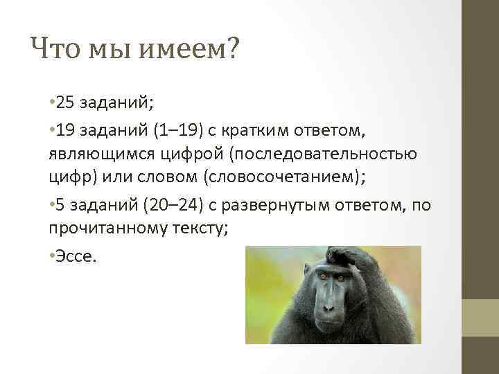 Что мы имеем? • 25 заданий; • 19 заданий (1– 19) с кратким ответом,