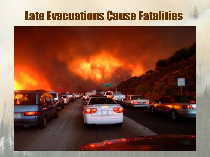 Late Evacuations Cause Fatalities 