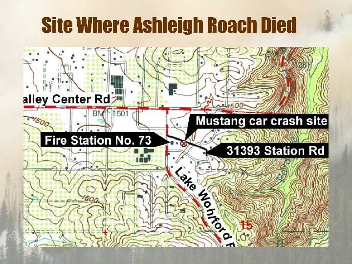 Site Where Ashleigh Roach Died 
