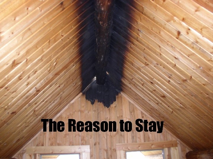 The Reason to Stay 