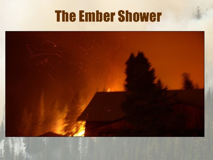 The Ember Shower 